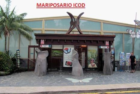 Apartamento Vistas De Icod イコー・デ・ロス・ビノス エクステリア 写真